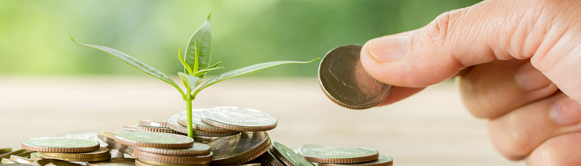 Finanzierung